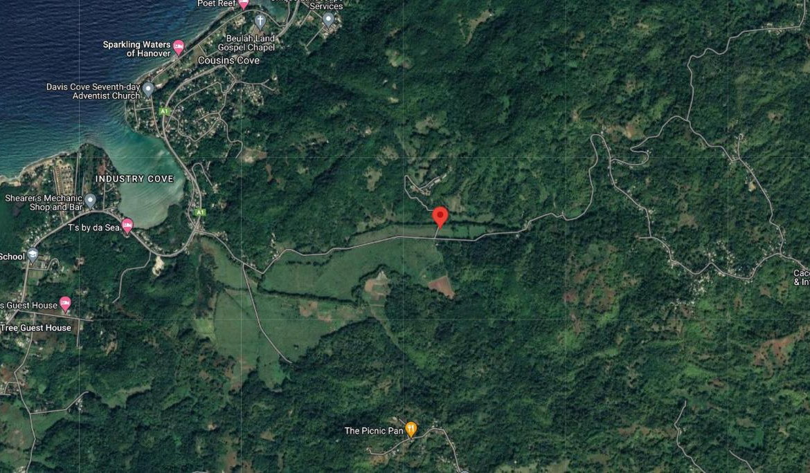 Ninth image of Cocoa Farm, Davis Cove in Dias, Hanover, Jamaica - property is For Sale