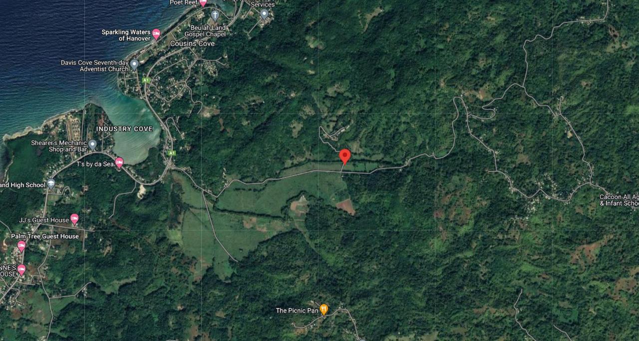 Ninth image of Cocoa Farm, Davis Cove in Dias, Hanover, Jamaica - property is For Sale