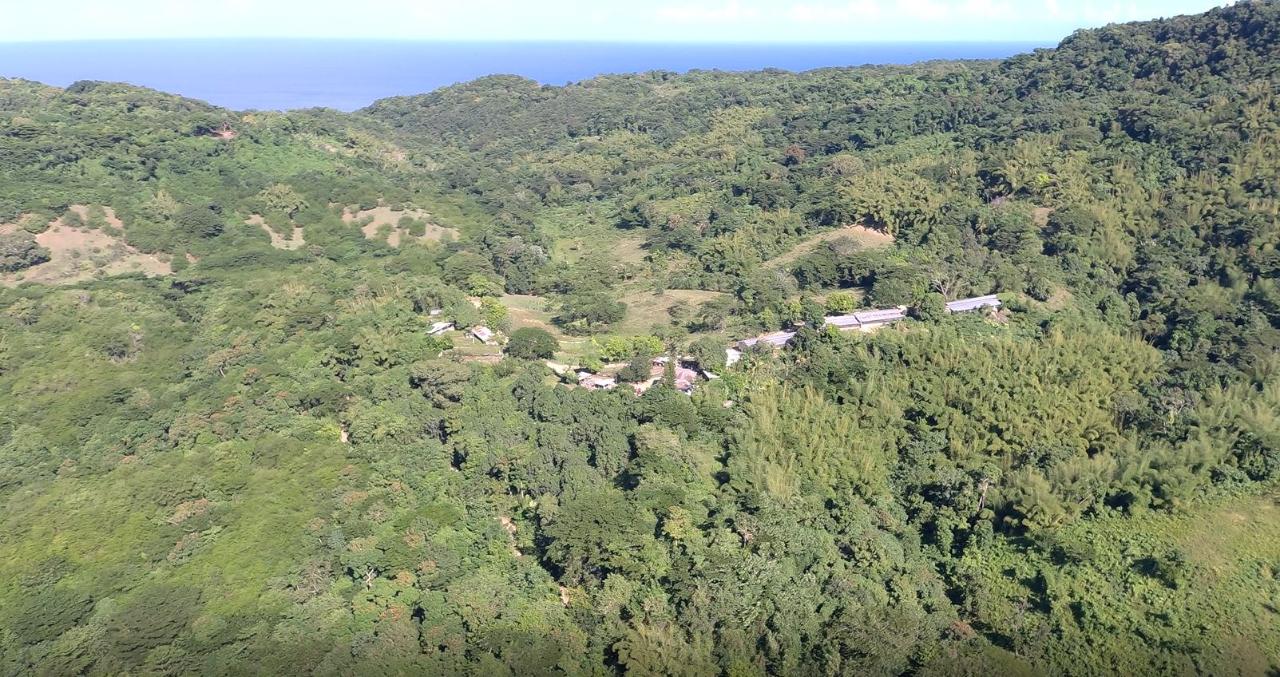 First image of Cocoa Farm, Davis Cove in Dias, Hanover, Jamaica - property is For Sale