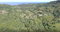 First image of Cocoa Farm, Davis Cove in Dias, Hanover, Jamaica - property is For Sale