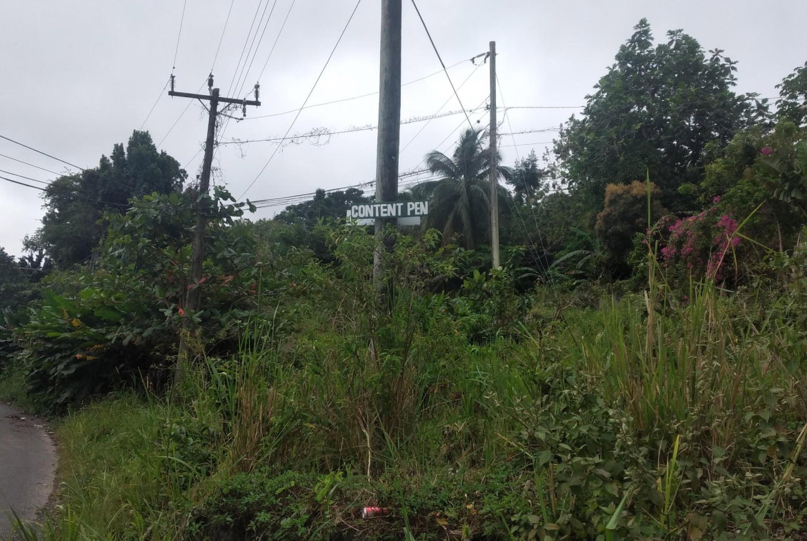 Fifth image of 51 Lime Hall, Content Pen in Lime Hall, St. Ann, Jamaica - property is For Sale