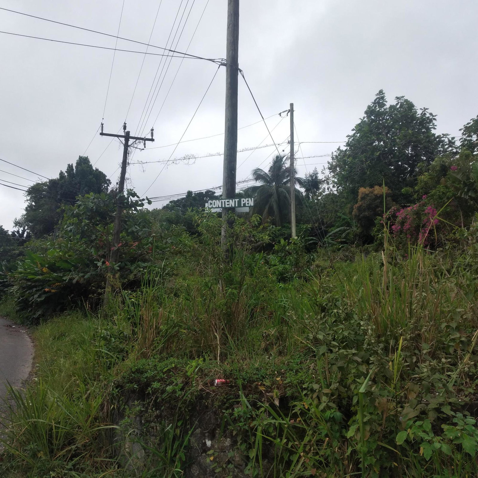 Fifth image of 51 Lime Hall, Content Pen in Lime Hall, St. Ann, Jamaica - property is For Sale
