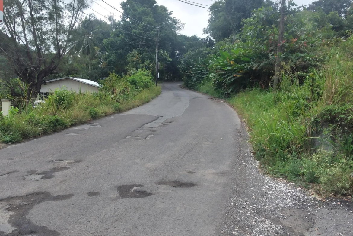 Ninth image of 51 Lime Hall, Content Pen in Lime Hall, St. Ann, Jamaica - property is For Sale