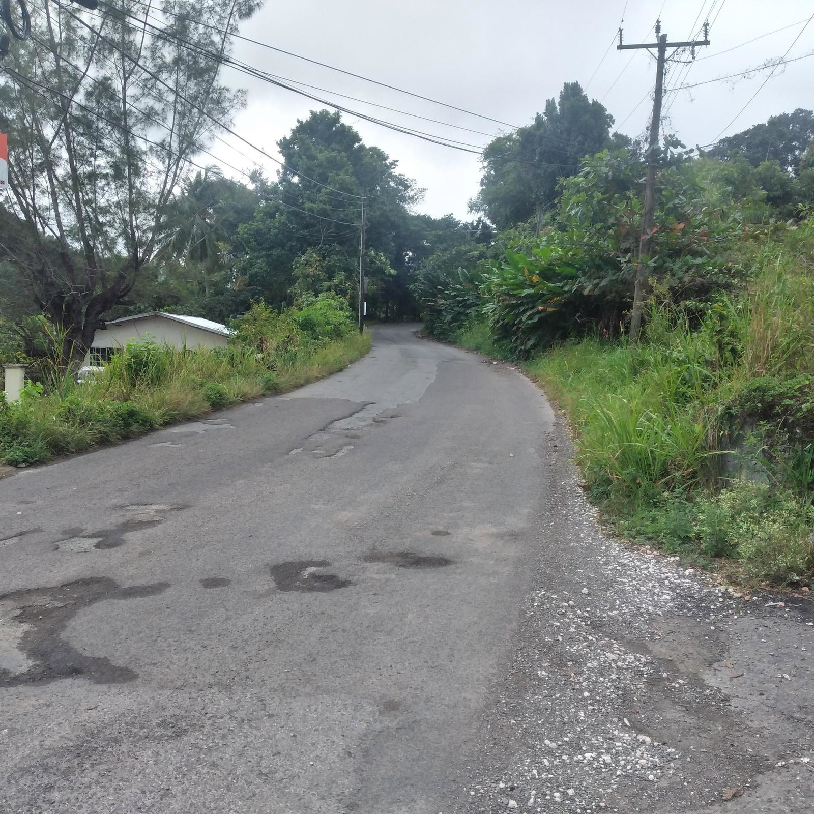 Ninth image of 51 Lime Hall, Content Pen in Lime Hall, St. Ann, Jamaica - property is For Sale