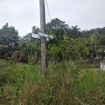 First image of 51 Lime Hall, Content Pen in Lime Hall, St. Ann, Jamaica - property is For Sale