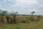 First image of 11 Bogue, Saint Elizabeth in Elim, St. Elizabeth, Jamaica - property is For Sale
