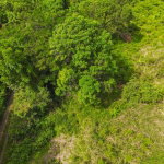 First image of Ashley Chapleton, Clarend in CHAPELTON, Clarendon, Jamaica - property is For Sale