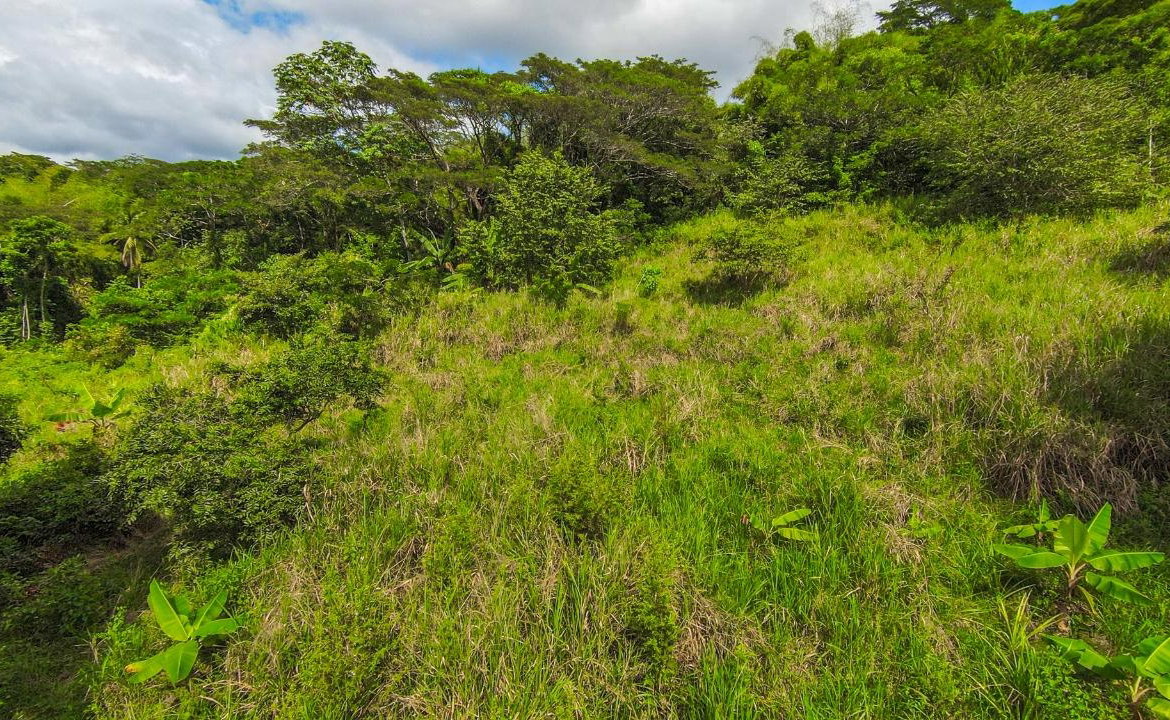 Third image of Ashley Chapleton, Clarend in CHAPELTON, Clarendon, Jamaica - property is For Sale