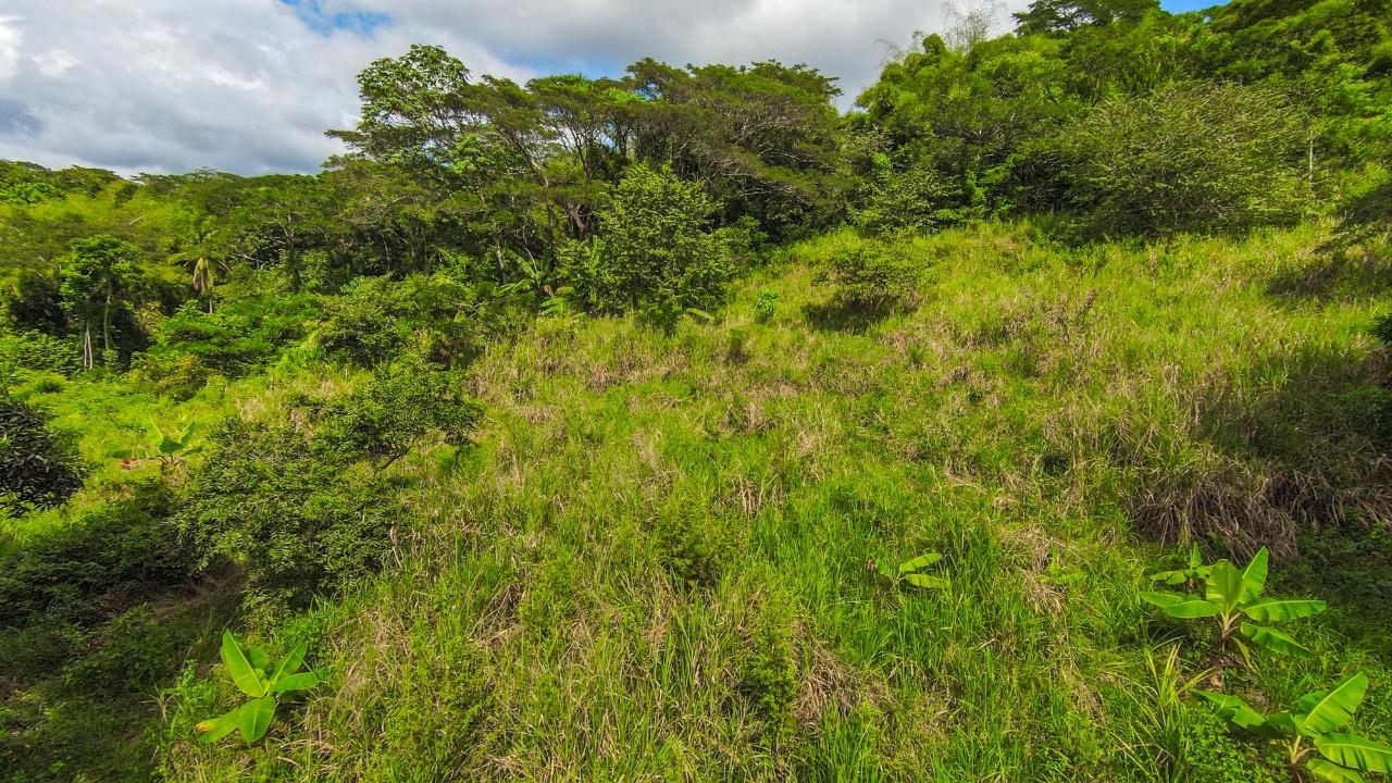 Third image of Ashley Chapleton, Clarend in CHAPELTON, Clarendon, Jamaica - property is For Sale
