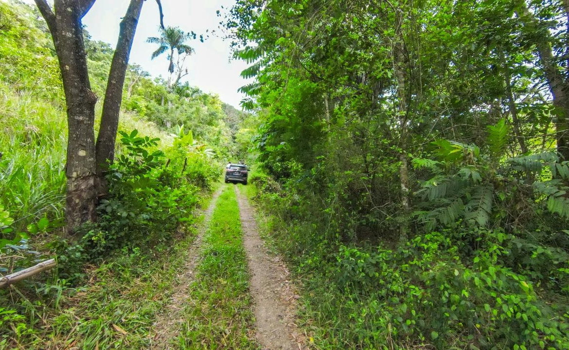 Fourth image of Ashley Chapleton, Clarend in CHAPELTON, Clarendon, Jamaica - property is For Sale