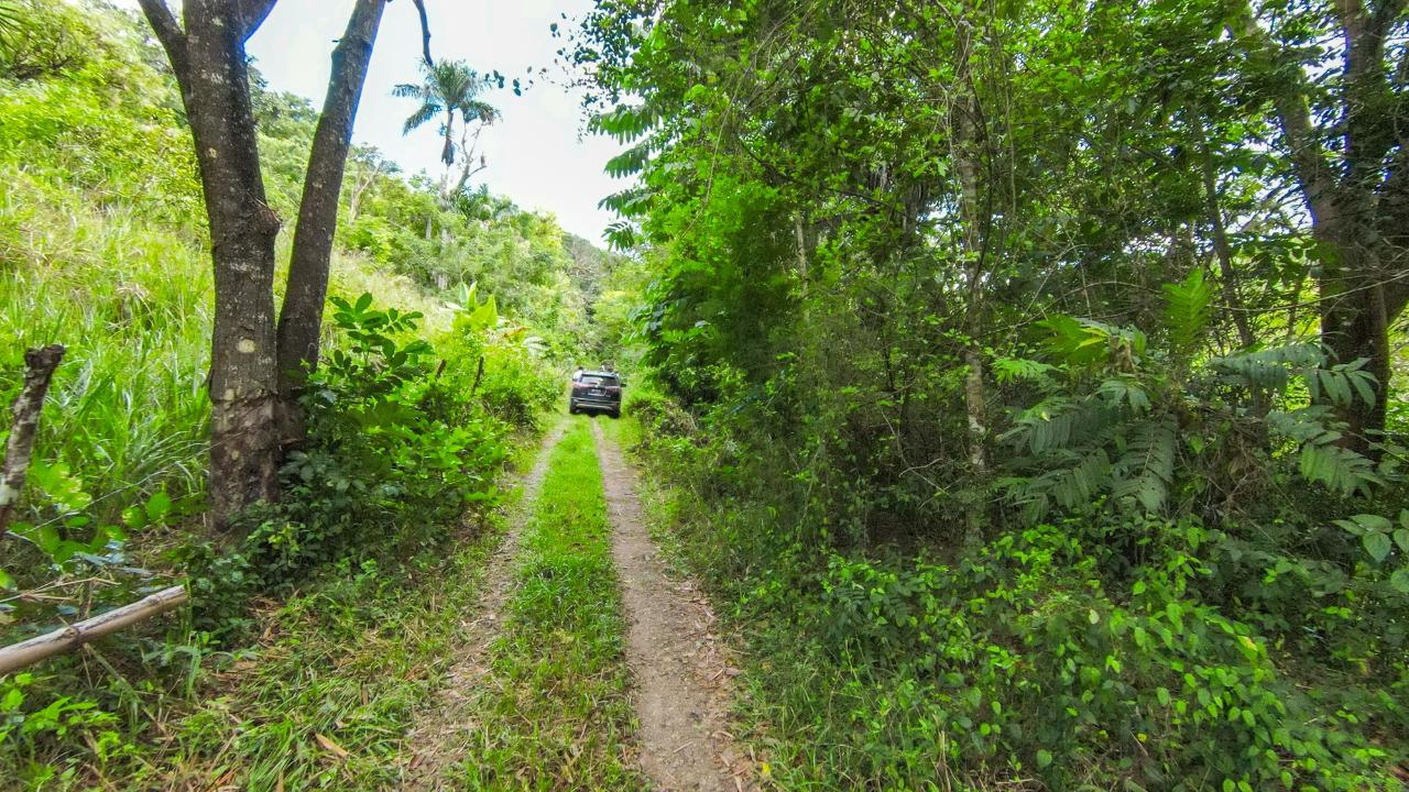 Fourth image of Ashley Chapleton, Clarend in CHAPELTON, Clarendon, Jamaica - property is For Sale