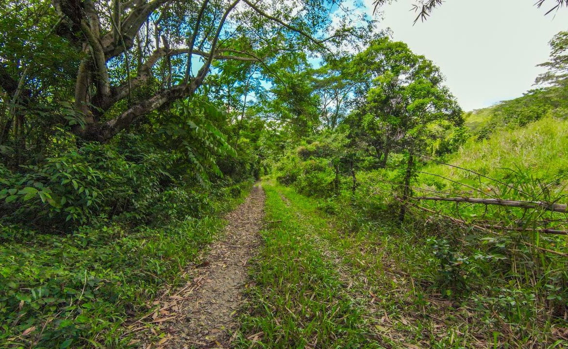 Fifth image of Ashley Chapleton, Clarend in CHAPELTON, Clarendon, Jamaica - property is For Sale