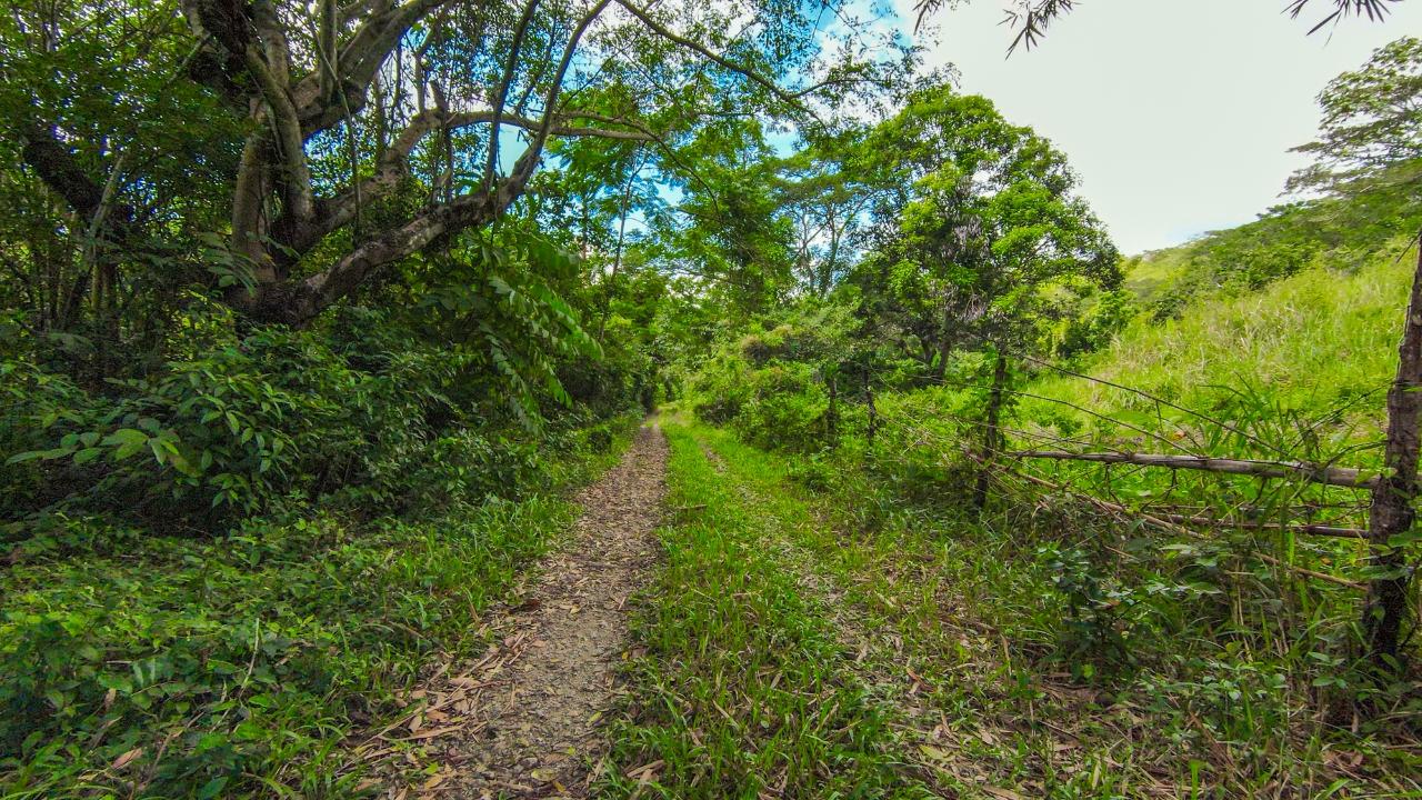 Fifth image of Ashley Chapleton, Clarend in CHAPELTON, Clarendon, Jamaica - property is For Sale