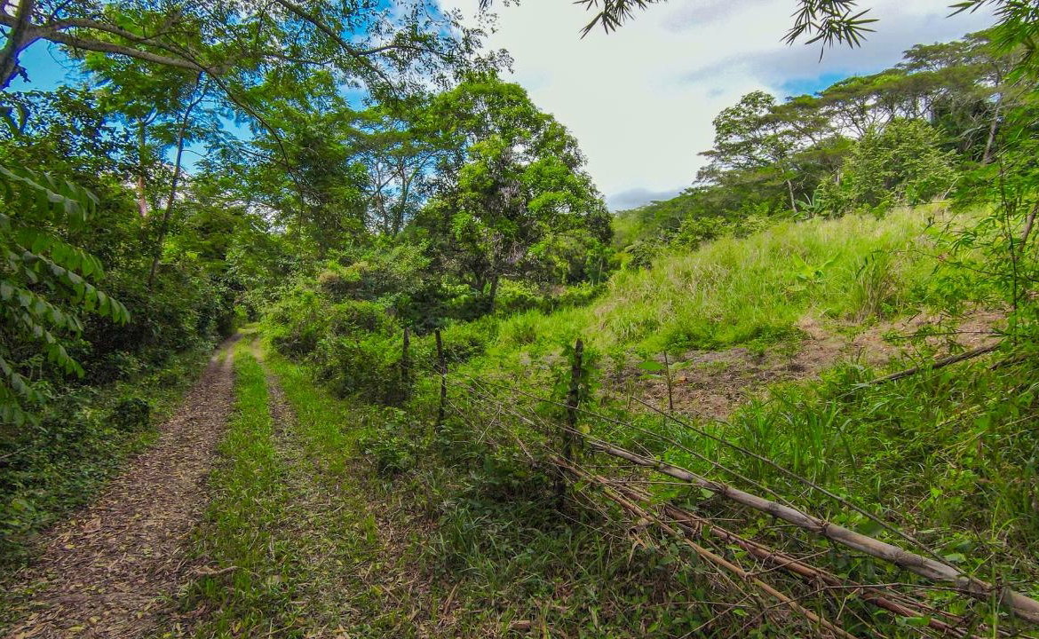 Sixth image of Ashley Chapleton, Clarend in CHAPELTON, Clarendon, Jamaica - property is For Sale
