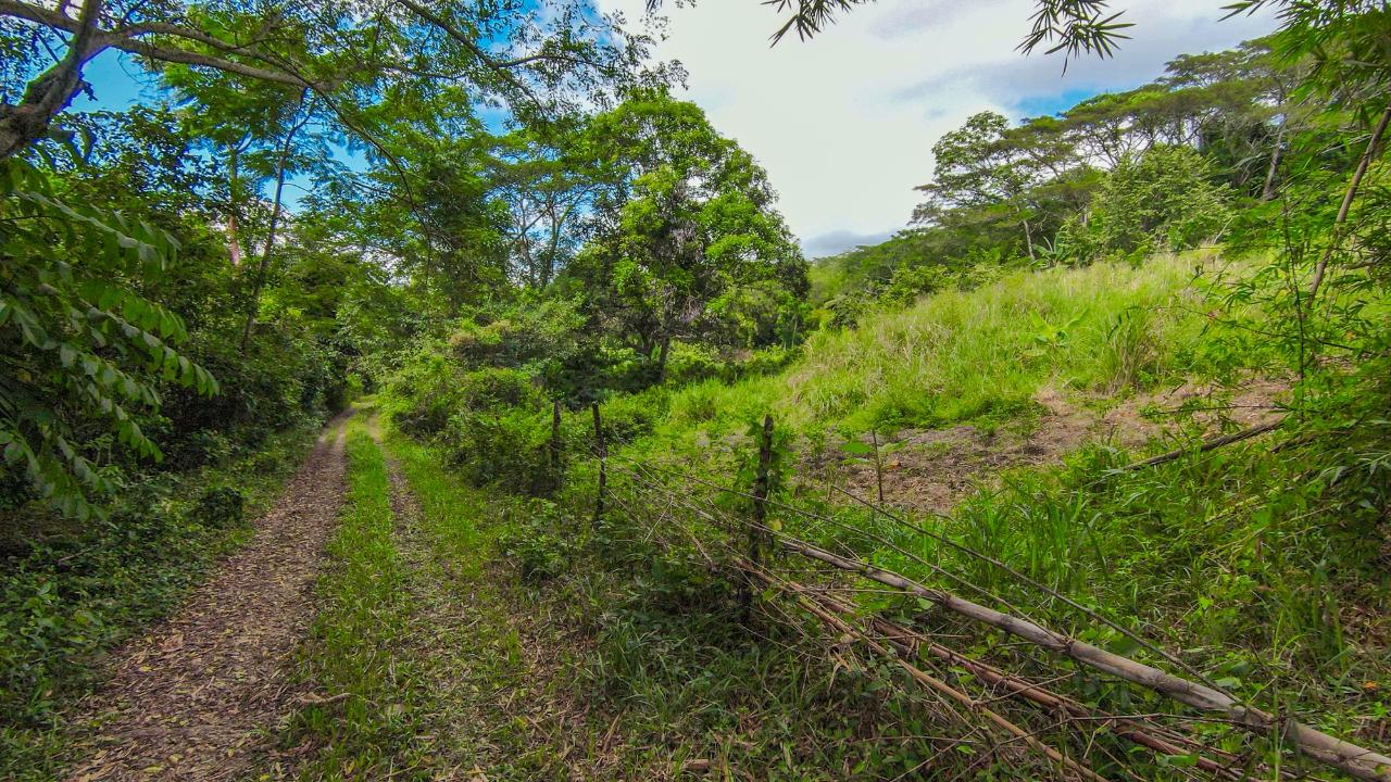 Sixth image of Ashley Chapleton, Clarend in CHAPELTON, Clarendon, Jamaica - property is For Sale