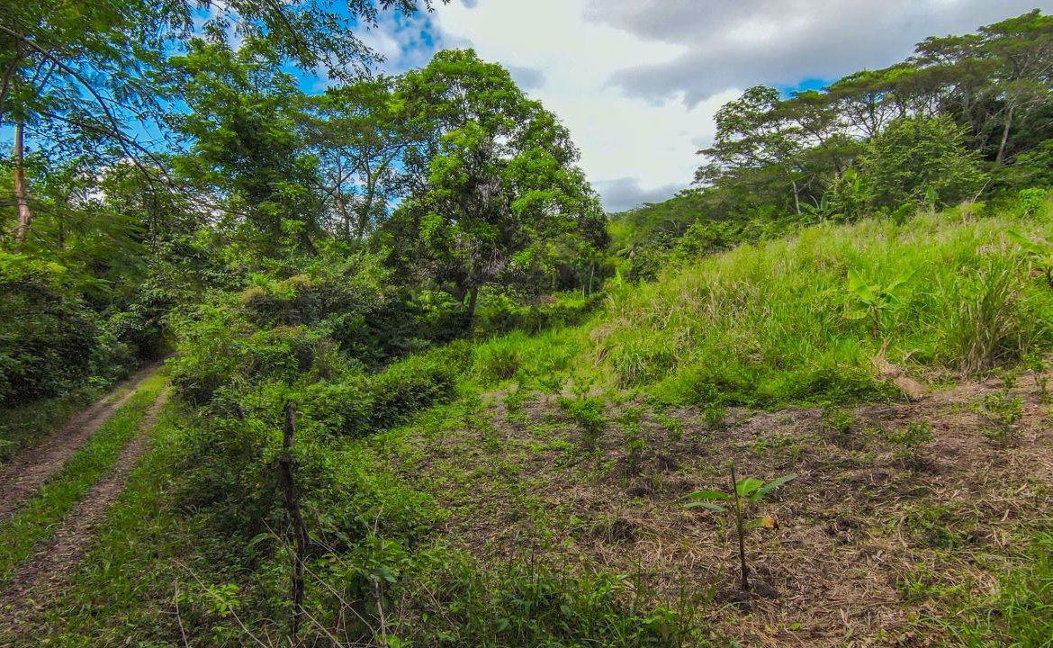 Seventh image of Ashley Chapleton, Clarend in CHAPELTON, Clarendon, Jamaica - property is For Sale