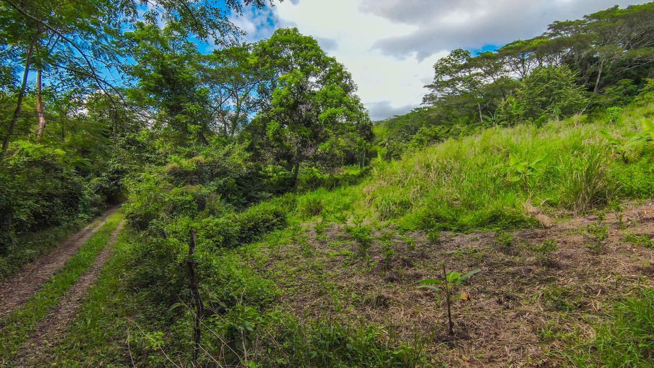 Seventh image of Ashley Chapleton, Clarend in CHAPELTON, Clarendon, Jamaica - property is For Sale