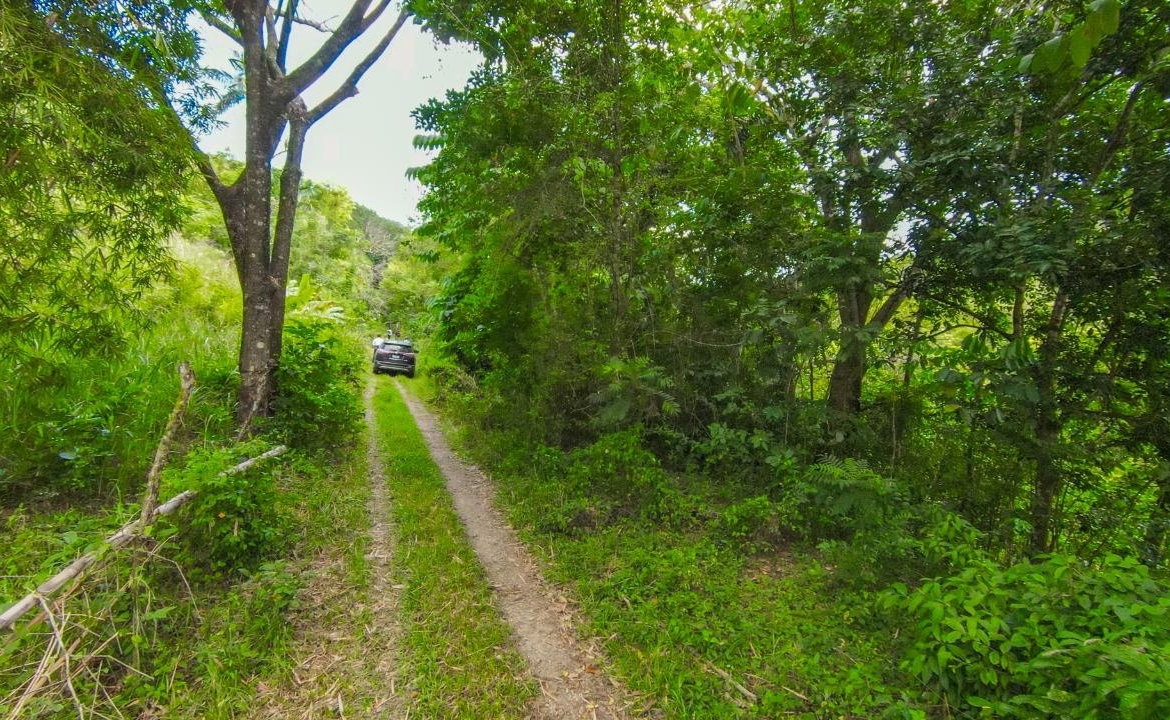 Eighth image of Ashley Chapleton, Clarend in CHAPELTON, Clarendon, Jamaica - property is For Sale