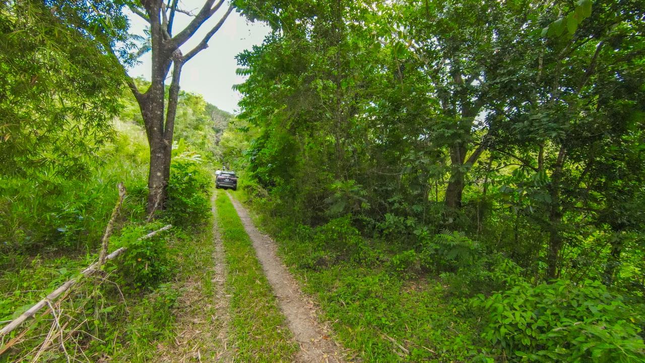 Eighth image of Ashley Chapleton, Clarend in CHAPELTON, Clarendon, Jamaica - property is For Sale