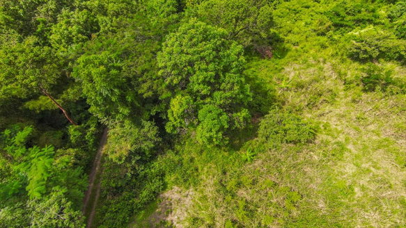 First image of Ashley Chapleton, Clarend in CHAPELTON, Clarendon, Jamaica - property is For Sale