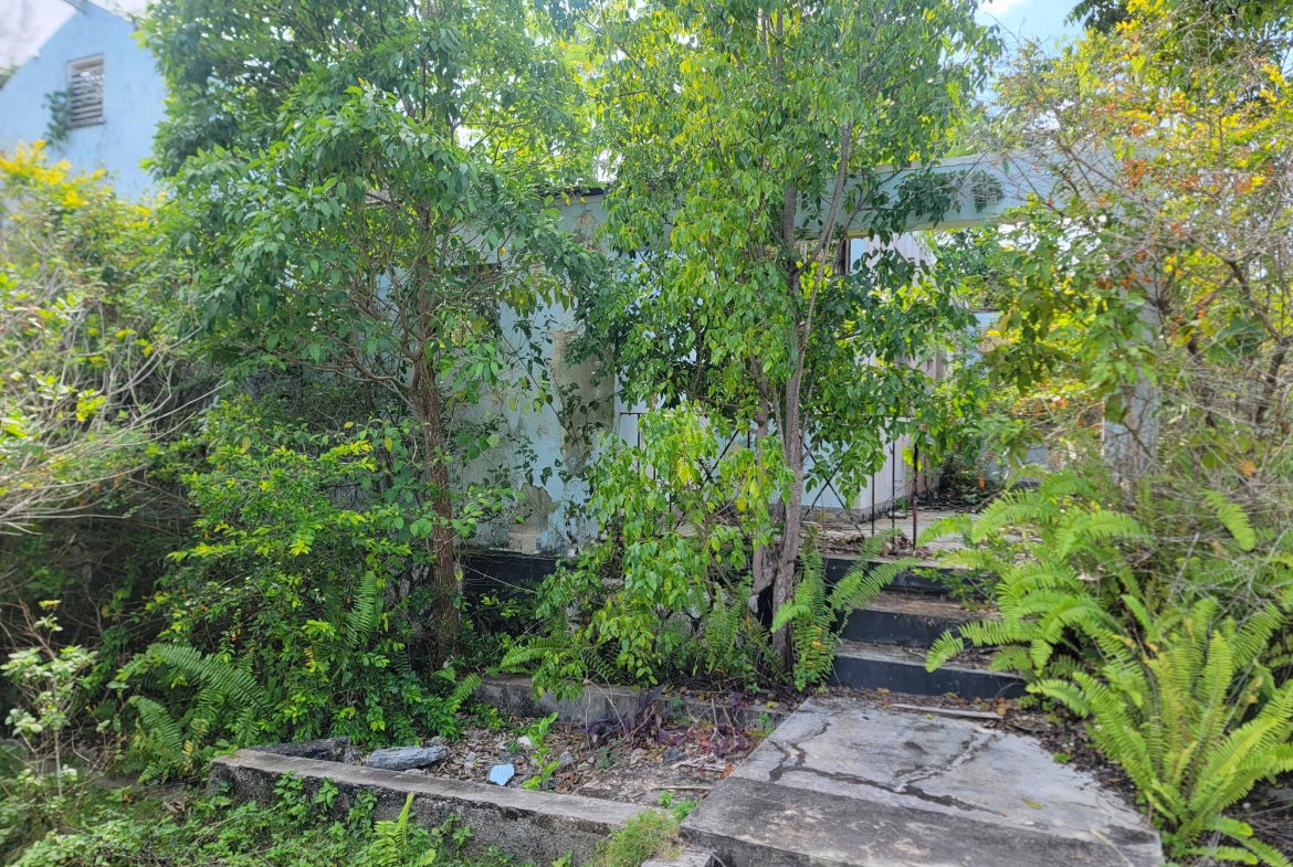 Fourth image of Brampton District in Jackson Town, Trelawny, Jamaica - property is For Sale