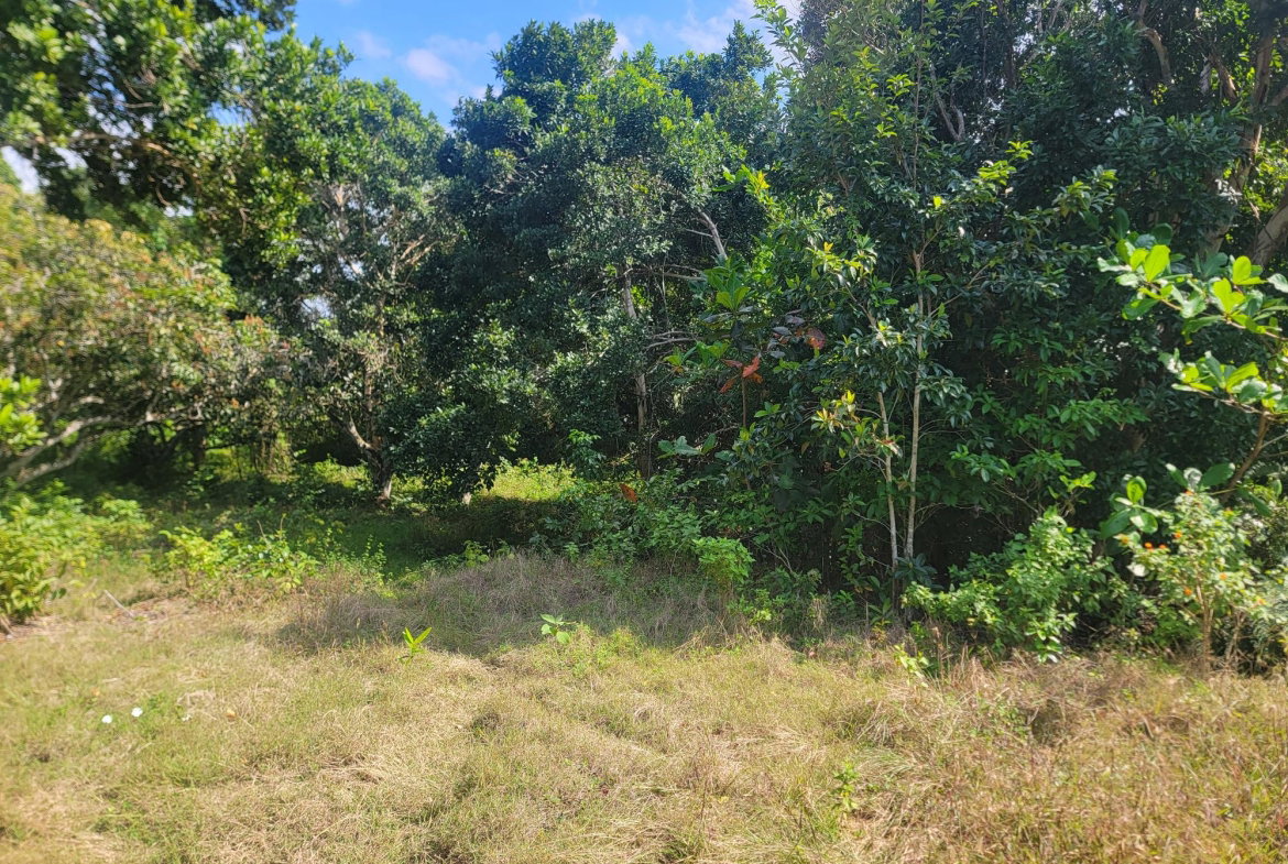 Sixth image of Brampton District in Jackson Town, Trelawny, Jamaica - property is For Sale
