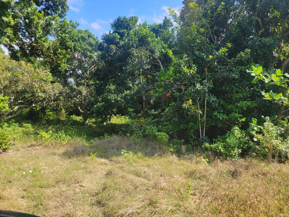 Sixth image of Brampton District in Jackson Town, Trelawny, Jamaica - property is For Sale