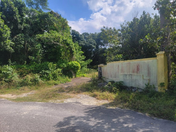 First image of Brampton District in Jackson Town, Trelawny, Jamaica - property is For Sale
