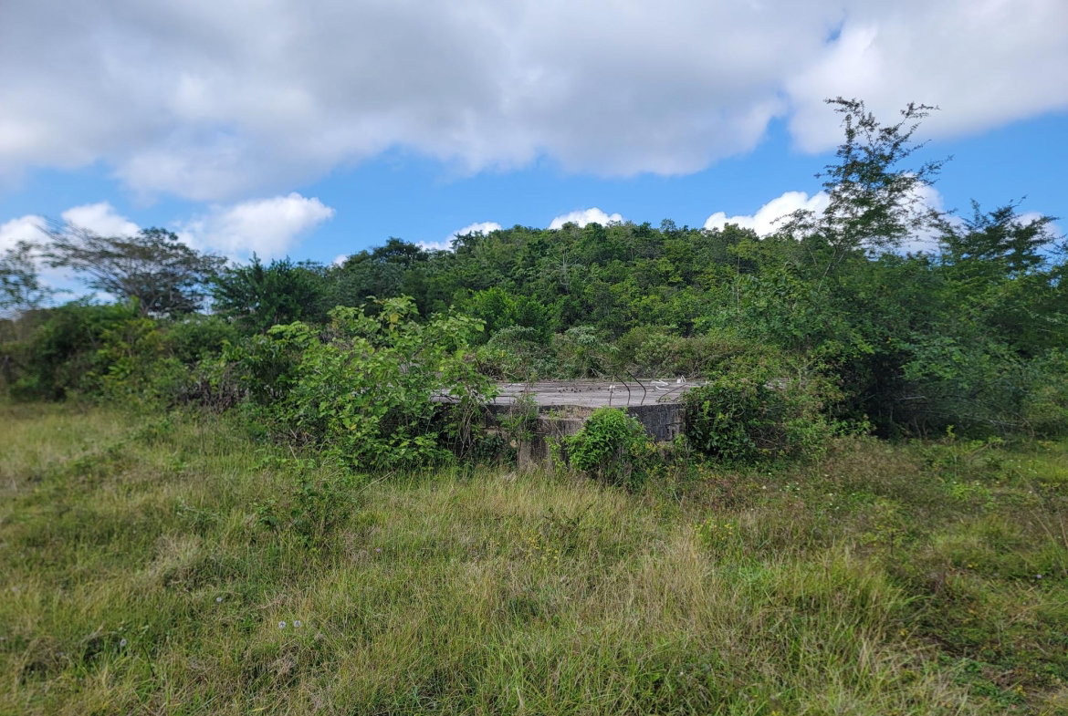 Eighth image of Brampton District in Jackson Town, Trelawny, Jamaica - property is For Sale