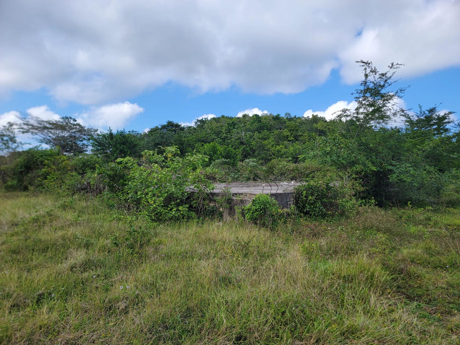 Eighth image of Brampton District in Jackson Town, Trelawny, Jamaica - property is For Sale