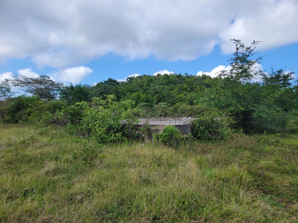 Eighth image of Brampton District in Jackson Town, Trelawny, Jamaica - property is For Sale