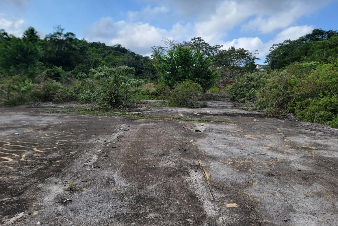 Ninth image of Brampton District in Jackson Town, Trelawny, Jamaica - property is For Sale
