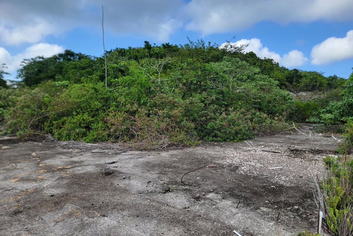 Tenth image of Brampton District in Jackson Town, Trelawny, Jamaica - property is For Sale