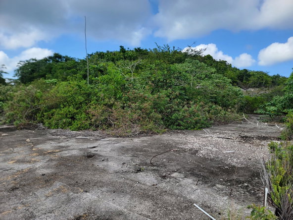 Tenth image of Brampton District in Jackson Town, Trelawny, Jamaica - property is For Sale