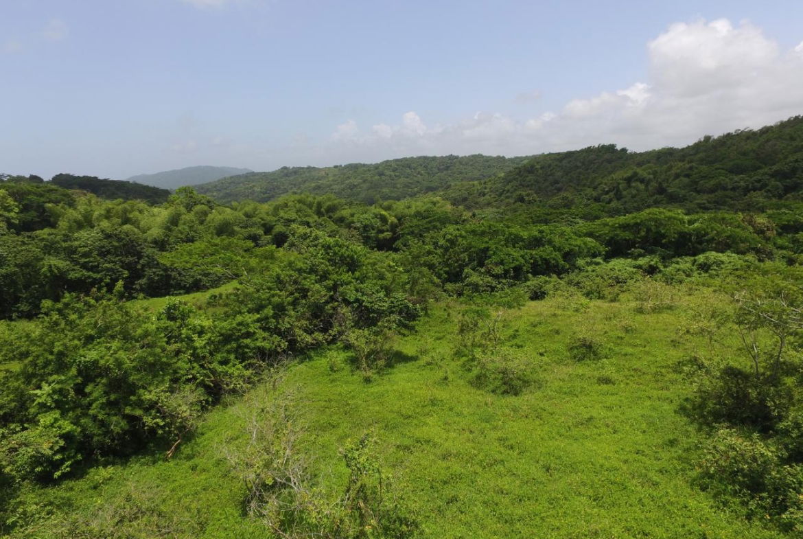 Second image of Port Maria in Port Maria, St. Mary, Jamaica - property is For Sale