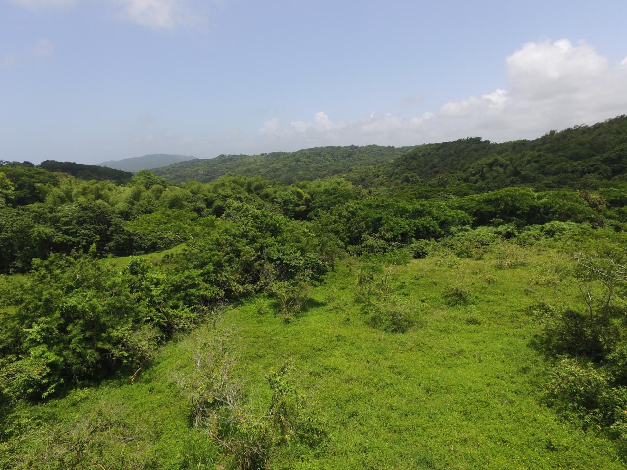 Second image of Port Maria in Port Maria, St. Mary, Jamaica - property is For Sale