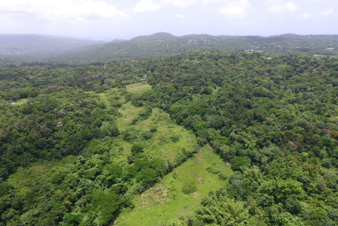 First image of Port Maria in Port Maria, St. Mary, Jamaica - property is For Sale