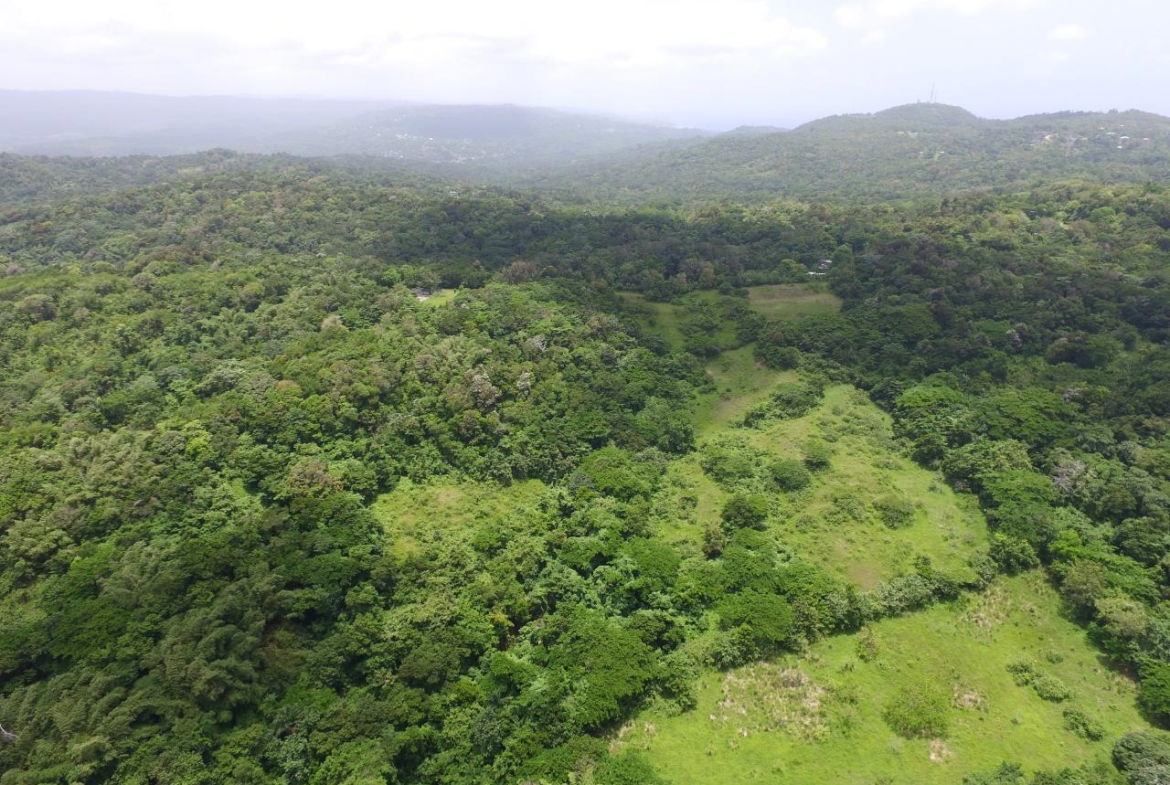 Third image of Port Maria in Port Maria, St. Mary, Jamaica - property is For Sale