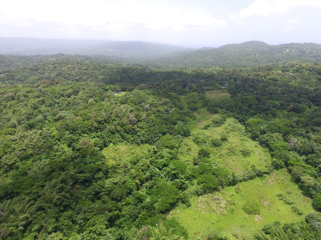 Third image of Port Maria in Port Maria, St. Mary, Jamaica - property is For Sale