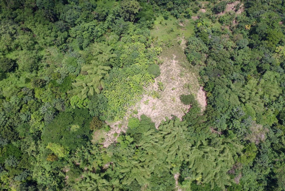 Fourth image of Port Maria in Port Maria, St. Mary, Jamaica - property is For Sale