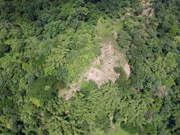 Fourth image of Port Maria in Port Maria, St. Mary, Jamaica - property is For Sale