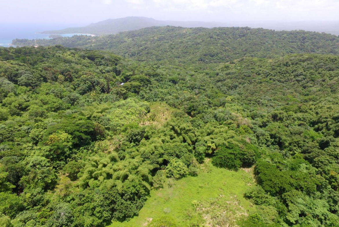 Fifth image of Port Maria in Port Maria, St. Mary, Jamaica - property is For Sale