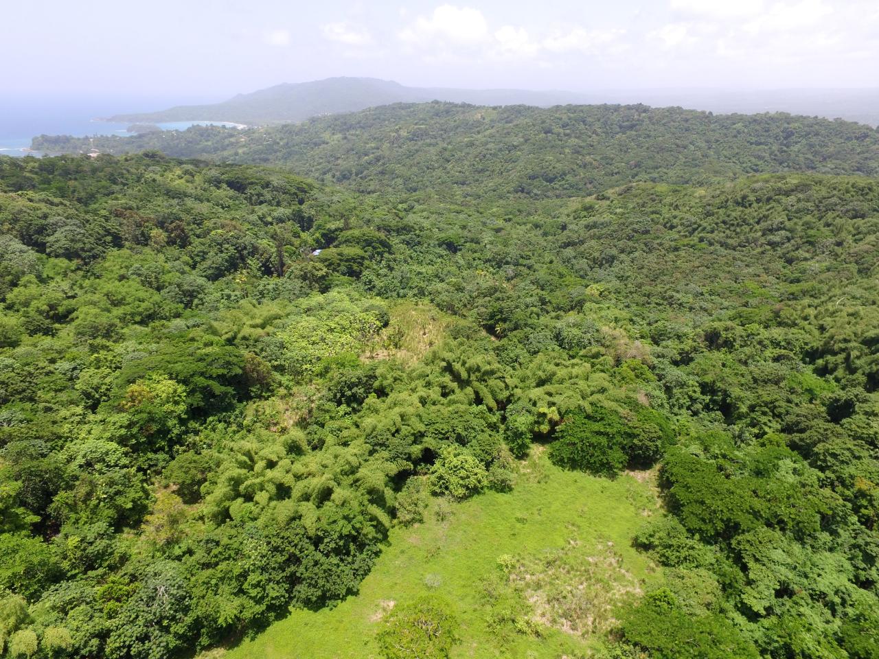 Fifth image of Port Maria in Port Maria, St. Mary, Jamaica - property is For Sale