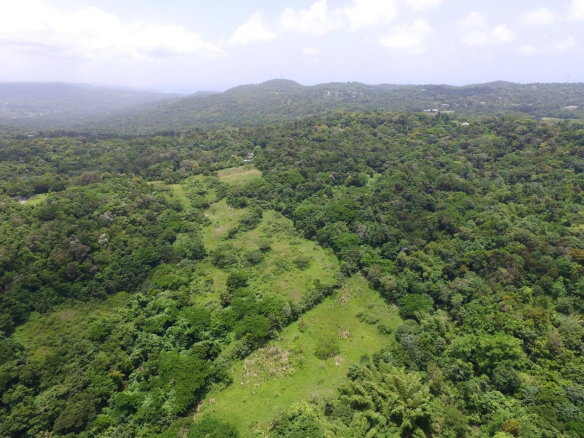 First image of Port Maria in Port Maria, St. Mary, Jamaica - property is For Sale