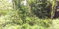 First image of Huntley Castle, Pisgah in Santa Cruz, St. Elizabeth, Jamaica - property is For Sale