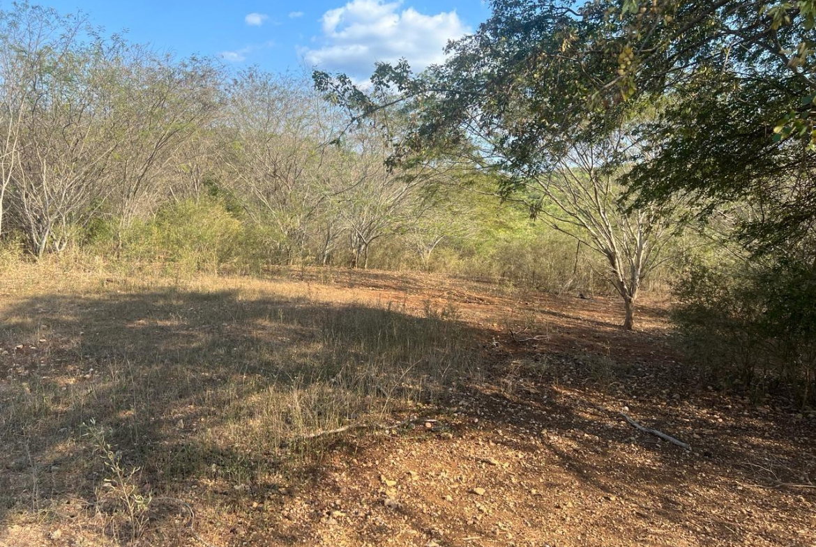 Fourth image of Rock River,retreat,claren in Rock River, Clarendon, Jamaica - property is For Sale