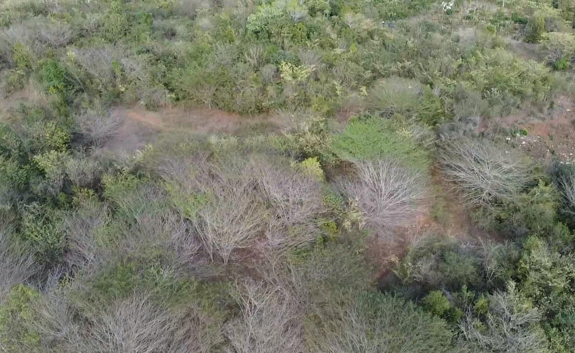 Seventh image of Rock River,retreat,claren in Rock River, Clarendon, Jamaica - property is For Sale