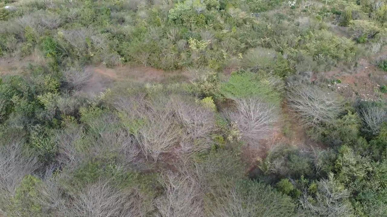 Seventh image of Rock River,retreat,claren in Rock River, Clarendon, Jamaica - property is For Sale