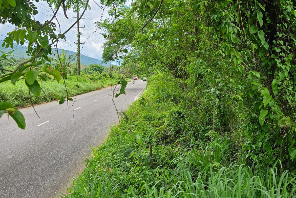 Second image of Part of Pepper in Pepper, St. Elizabeth, Jamaica - property is For Sale