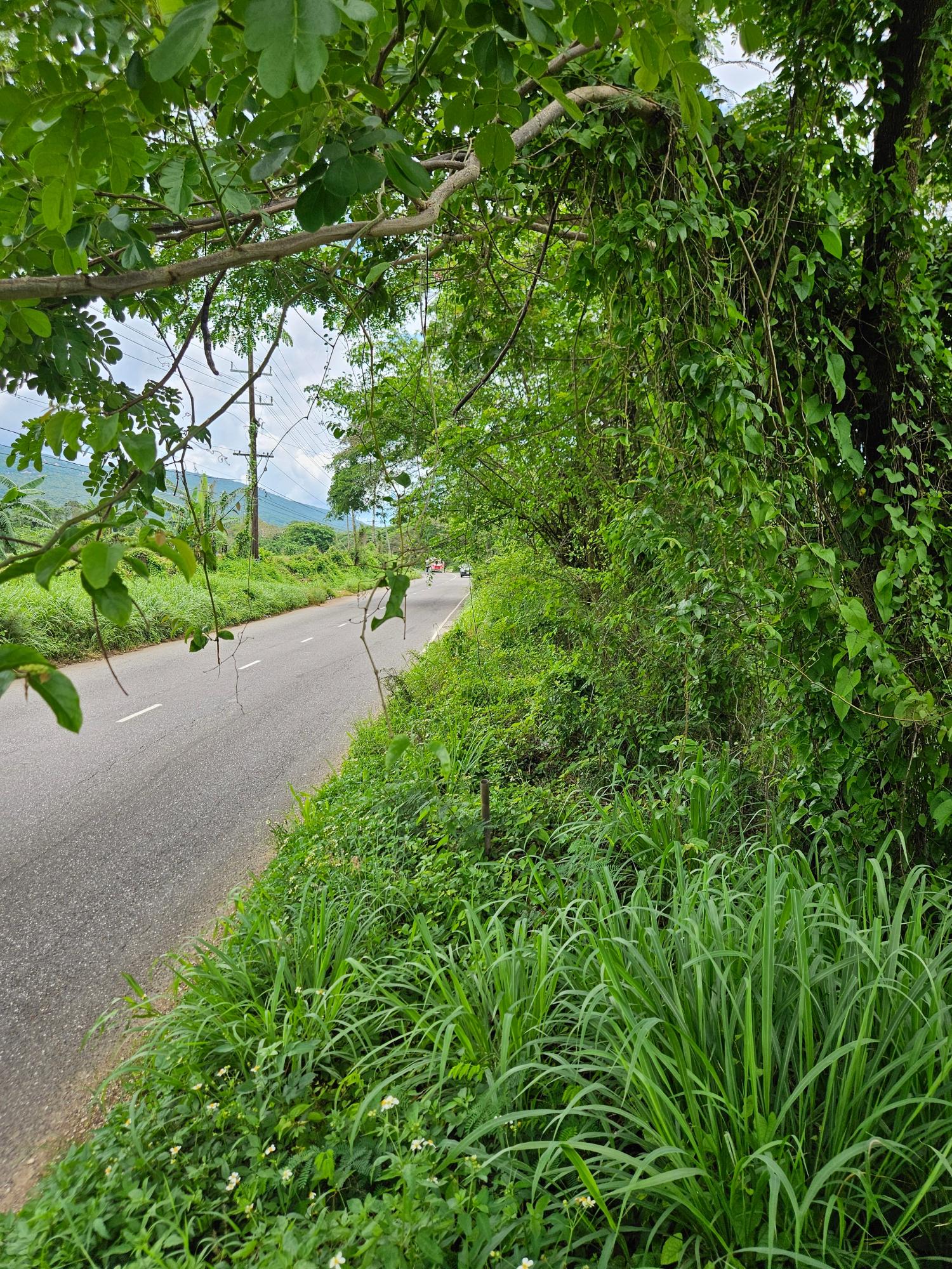 2-Acre-Residential-Lot-for-Sale-in-St.-Elizabeth-Jamaica Second image of Part of Pepper in Pepper, St. Elizabeth, Jamaica - property is For Sale